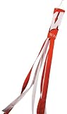 NCAA Wisconsin Badgers Wind Sock