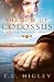 Shadow of Colossus (Seven Wonders Series #1)