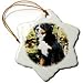 Dogs Bernese Mountain Dog - Bernese Mountain Dog - Ornaments
