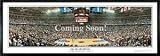 2004 Pistons NBA Champions Panoramic Photo