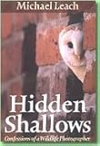 Hidden shallows
