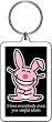 it's happy bunny 'I love everybody even you stupid idiots' Lucite Key Chain