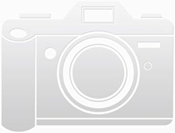 Brickcom CB-500AP-360 5M HDTV TRIPLE CODEC IMMERVISION 360 2WAY MICSD POE