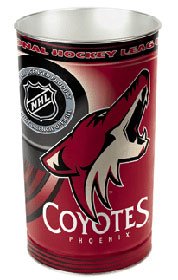 Phoenix Coyotes 15