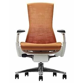 Embody Chair by Herman Miller - Aluminum Home Office Desk Task Chair with Adjustable Arms...