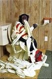 Monkey Trouble - Artist: Unknown - Art Print Poster Size: 24.00 by 36.00 inches