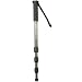 Photo : SLIK Pro Pod 381 CF Carbon Fiber Monopod
