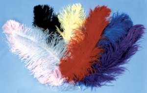 Ostrich Plumes Jumbo White