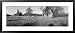 Old House in the Uncultivated Field, North Woods, Wisconsin, USA Framed Art Poster Pr...