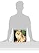 2016 Just Pomeranians Wall Calendar