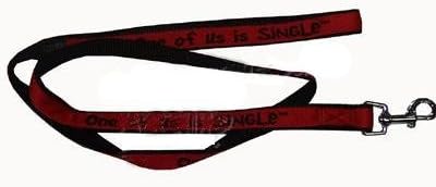Embroidered Dog Leash 4-ft x 3/4 in (Single)