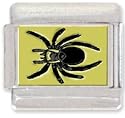 HALLOWEEN SPIDER Italian Charm