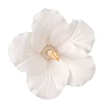 White Hibiscus