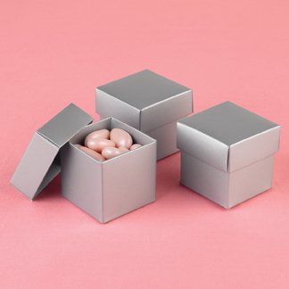 Mix-and-Match Silver Shimmer Favor Boxes