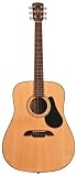 Alvarez RD2104VP Regent Series Dreadnought Acoustic Guitar Package