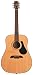 Alvarez RD2104VP Regent Series Dreadnought Acoustic Guitar Package