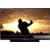 Mitsubishi Diamond Series WD-65835 65-Inch 1080p DLP HDTV (Glossy Black)