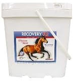 Recovery EQ 11 lb.