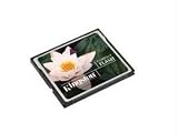 4GB CompactFlash Card