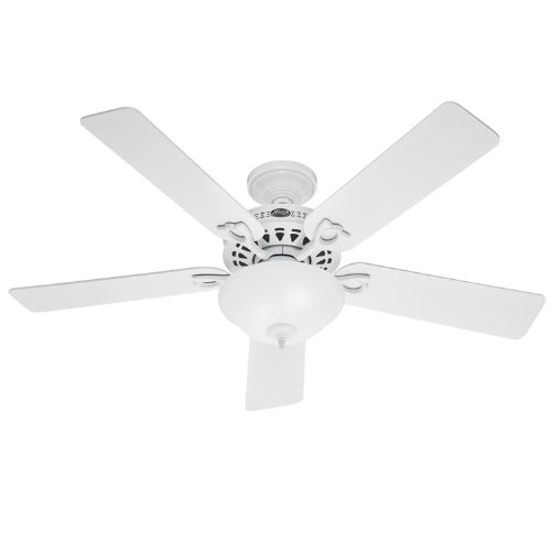 Hunter 22461 Astoria 52-Inch Five Blades Ceiling Fan, White with Frosted Globe
