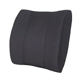 Sacro Back Cushion (15" x 15")