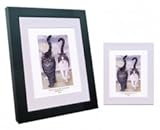 Framed Shore Leave