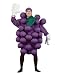 Purple Grapes Adult Halloween Costume (Standard One-Size)