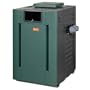 Rp2100 Digital 406K Btu Propane Gas Pool Heater -( Pr406Ep (009227) , Raypak )