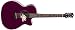 Luna Flora Lotus  Acoustic Guitar