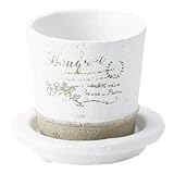 ���i�̏ڍ�