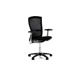 Knoll Life Chair - Fully Adjustable Model