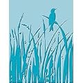 Cuttlebug A2 Embossing Folder: Bird Call