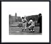 Ted Williams 1939 Boston Red Sox, Art Poster by National Archive, with Metal Frame, poster size: 14