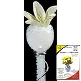 Crystal Soil USA(TM) Brand Premium Water Storing Accents Deco Gel Beads; WHITE 10g Pack