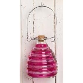 Outdoor Living: Decorative Ribbed Glass Wasp Trap with Wire Hanger