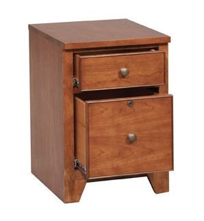 16 2 Drawer File finish (GT216D)