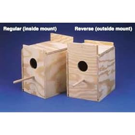  Shopzeus USA zeusd1-EPST-1254661 Ware Wood Nesting Box Cockatiel Regular