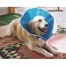 Trimline Veterinary Soft Recovery Dog Collar 9.5''- large dogs