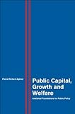 Public capital, growth and welfare : analytical foundations for public policy