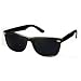 Blues Brothers Wayfarer Black Sun Glasses - Black w/ Micro Case