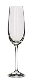 Dartington Crystal WINE ESSENTIALS - CHAMPAGNE FLUTE PAIR 6.1 ounce, 9.1 inch tall