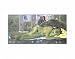 Poster - Kunstdruck / Poster: Paul Gauguin, Nevermore, 35 x 28 von Nevermore