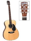BLUERIDGE 000 GUITAR