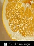 Meyer Lemon Tree Standard Five Gallon
