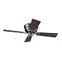 Hunter 23871 Low Profile III 42-Inch Antique-Pewter Ceiling Fan with 4 Walnut/Chestnut Blades