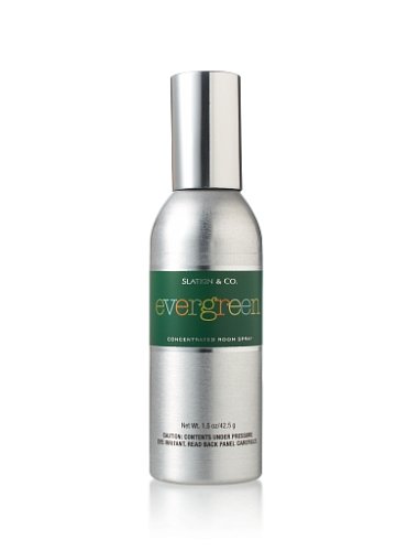 Image of Bath and Body Works Slatkin & Co. EVERGREEN Concentrated Room Spray 1.5 OZ