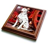 Dogs Dalmatian - Dalmatian - Trivets