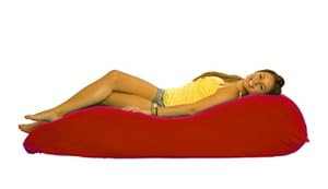 Hugasaurus Unique Adjustable Bean Bag Chair