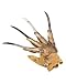 Deluxe Freddy Metal Glove Adult