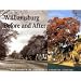 Williamsburg Before and After: The Rebirth of Virginia's Colonial Capital